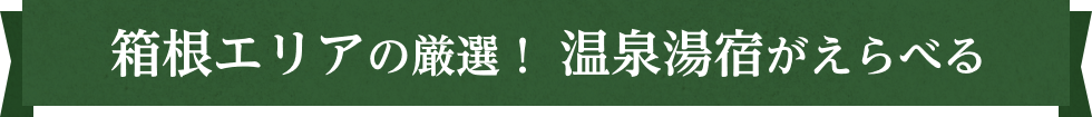 箱根エリアの厳選！ 温泉湯宿がえらべる