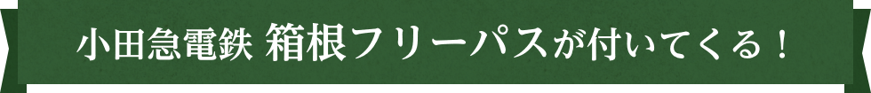 小田急電鉄 箱根フリーパスが付いてくる！