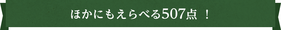 ほかにもえらべる507点 ！