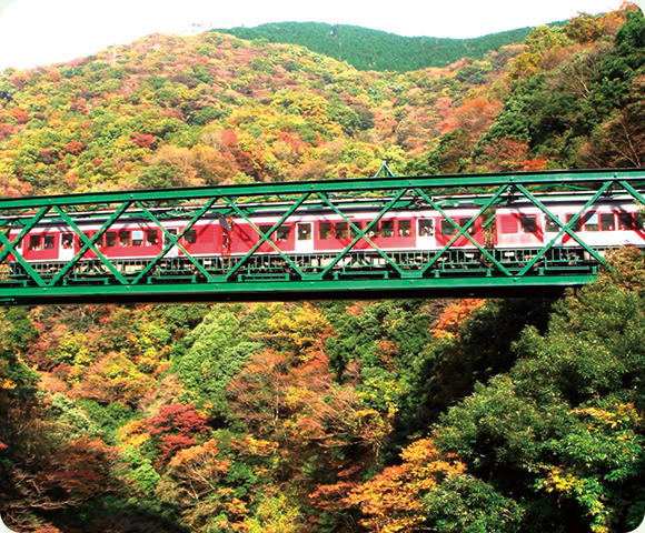 箱根登山電車